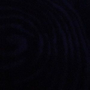 Meet your Posher, Leron